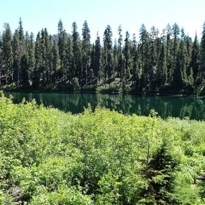 Meet your Posher, Chelsea